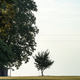 It was here on Aug. 28, 1955, that Emmett Till is believed to have been murdered in this small shed on the Sheridan Plantation in Drew, Miss. (Marvin Joseph/the Washington Post via Getty Images)